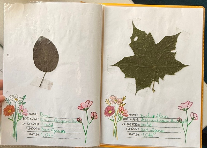 b6baf72e fe39 45d2 a686 dfa516eada36